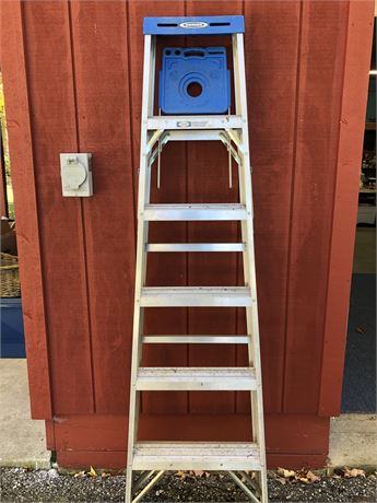 Werner 6 ft. Aluminum Ladder