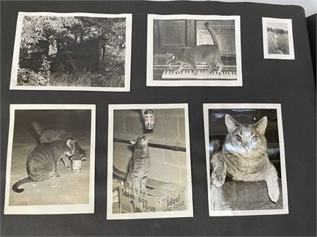 Vintage CAT Photo Album