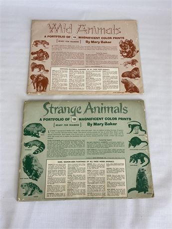 Portfolio of Wild & Strange Animals