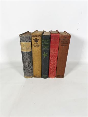 Antique Book Lot 2