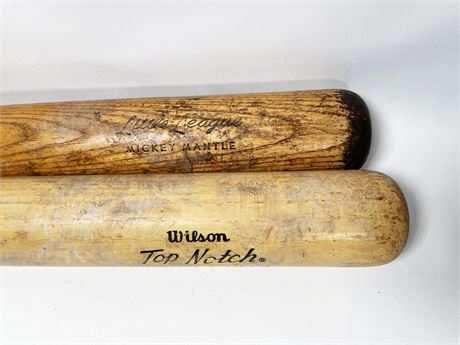 Collectible Wood Bats